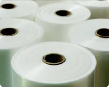 ��ѿ����